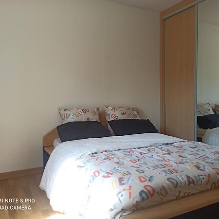 Super Appartement Avec Terasse Bischheim Экстерьер фото